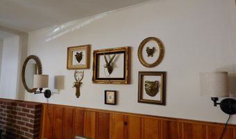 14 16 N CR 2057, Alpine, AZ 85920