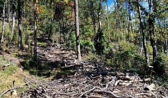 0 Mount Horeb Rd, Amherst, VA 24521