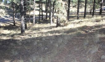 Valley Road lot 41, Angel Fire, NM 87710