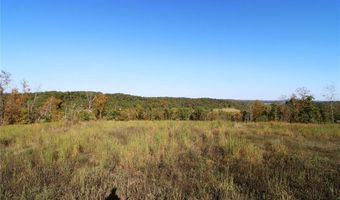 Off Hwy F, Annapolis, MO 63620