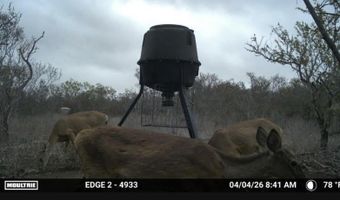 216 County Road 171, Alice, TX 78332