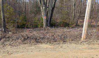 M 3 - L 15-1 & 2 Prospect Mountain Road, Alton, NH 03809
