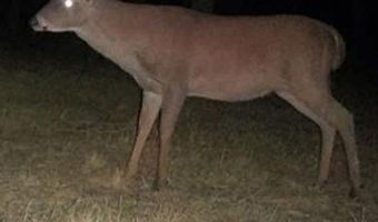 0 HWY 71, Alexandria, LA 71303