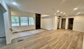 420 W Main St 101, Aspen, CO 81611