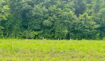 0 Antioch Church Rd, Ashford, AL 36312