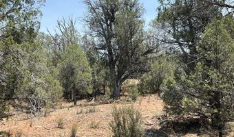 164 Rattlesnake Rd, Ash Fork, AZ 86320