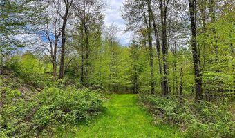 State Route 28 lot # 10, Andes, NY 13731