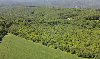 1608 Braintree Hill Rd, Braintree, VT 05060