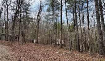 Fontana Forest lot 21, Almond, NC 28702