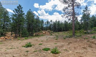 8719 Ponderosa Pine Dr, Beulah, CO 81023