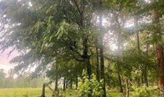 450 Apple Trl, Bogue Chitto, MS 39629
