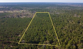 527 Forest Service Rd, Apple Springs, TX 75926
