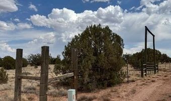137 N5525, Concho, AZ 85924