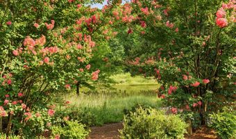 1199 Joslyn Ridge Ct, Apex, NC 27502