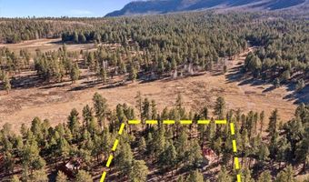 10 County Rd 2271, Alpine, AZ 85920