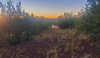 1 COUNTY ROAD N8155, Concho, AZ 85924