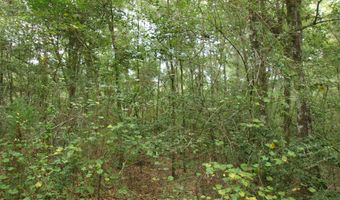 5001 Al Gillman Rd, Baker, FL 32531