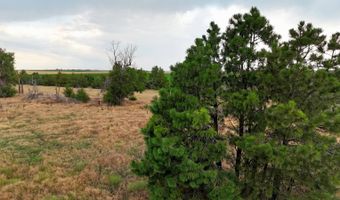 33970 COUNTY ROAD 25, Akron, CO 80720