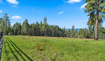 33676 Hilltop Ter, Bigfork, MT 59911
