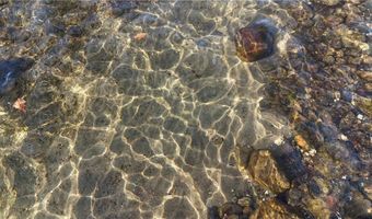 7660 Lake John Dr, Annandale, MN 55302