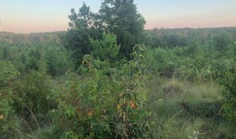 LAKE SECESSION Road, Abbeville, SC 29620