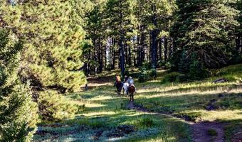 27502 US Highway 64 Roadrunner Tours, Angel Fire, NM 87710