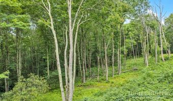 Featherwood Trail, Banner Elk, NC 28604