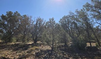 2 E Raney Rd, Ash Fork, AZ 86320