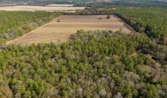 N Bob Brooks Road, Baker, FL 32531