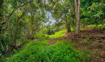 APOPO RD, Kapaa, HI 96746