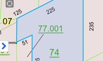 77 Acres Main St, Altoona, AL 35952