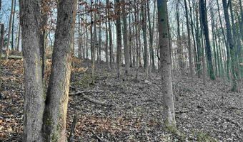 00007 SPRINGHOLLOW Rd Lot 7, Ashville, AL 35953