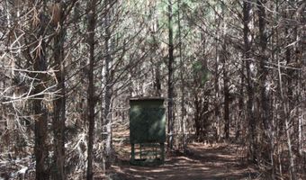 2650 Joe Miley Rd, Brunson, SC 29911