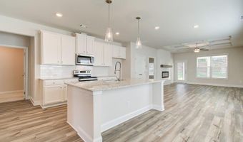 47 Avian Way, Auburn, GA 30011