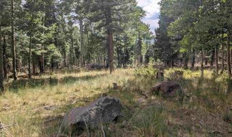 Sunrise Overlook, Angel Fire, NM 87710