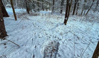 00 Fawn Lake Rd, Addison, NY 14801