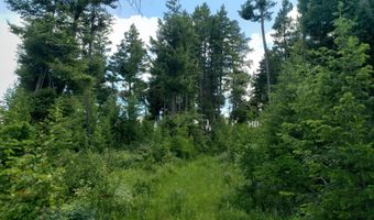 Arlee Pines lot 21, Arlee, MT 59821