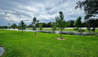 294 MANGROVE SHADE Cir, Apollo Beach, FL 33572