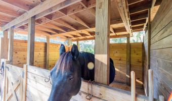 560 N LAKE PLEASANT Rd, Apopka, FL 32712