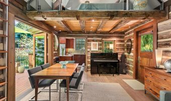 117 Neale Ave, Aspen, CO 81611