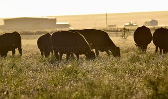 State Highway 214, Adrian, TX 79001