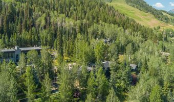 111 Powderbowl Trl, Aspen, CO 81611