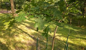 31586 R Ave, Adel, IA 50003