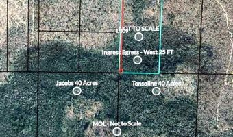 00 NW Camp Head Rd, Altha, FL 32421