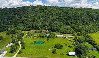 1510 W Pines Rd, Afton, TN 37616