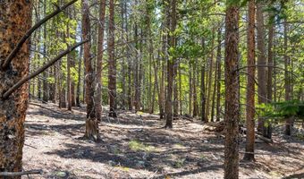 715 Lewsader Rd Lot 0, Alma, CO 80420