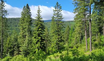 NNA Snowcat Lane, Bonners Ferry, ID 83805