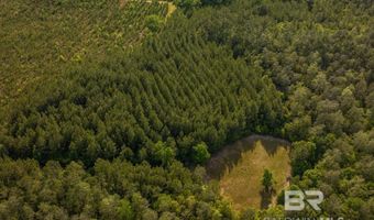 Flowers Road, Bay Minette, AL 36507
