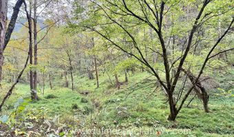 Jesse Run Rd, Arnoldsburg, WV 25234