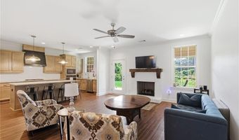 133 VINEYARD Ct, Auburn, AL 36830
